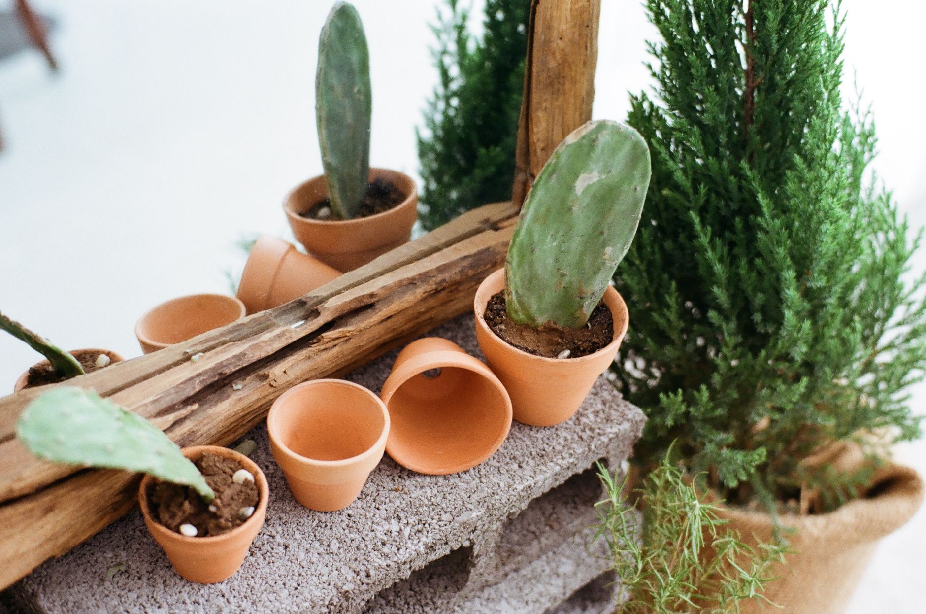 Terakotový kvetináč Terracotta veľkosti S